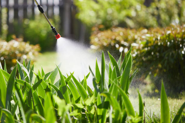 24/7 Emergency Mosquito Control experts in Palmer Ranch, FL
