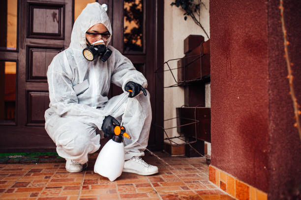 Reliable Mosquito Control contractor in Palmer Ranch, FL by Show Me Pest Control